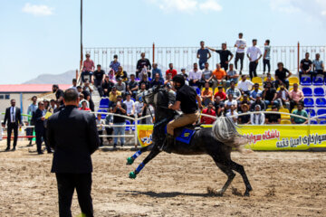 Le premier festival des chevaux de la race iranienne Dareshuri