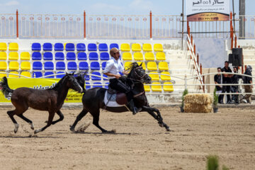 Le premier festival des chevaux de la race iranienne Dareshuri