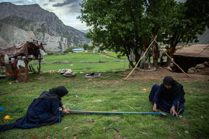 «شیردنگ بافی»