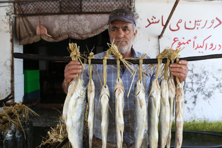 ماهی دودی