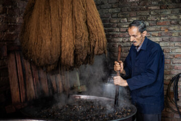  «رشید مولودی» تنها بازمانده شغل رنگرزی گیاهی در کردستان است. با 67 سال سن 56 سال در این حرفه مشغول به کار است.