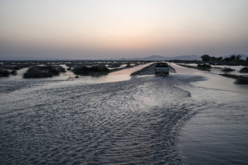 جاده ای روستای دلگان شیخ شیران بر اثر سیل تخریب شده است.
جاده های منطقه به دلیل نبود زیر ساخت مناسب هر ساله بر اثر بارش باران و سیلاب بخشی یا همه‌ی آن شسته شده و دیگر قابل استفاده مناسب برای اهالی نیست.
