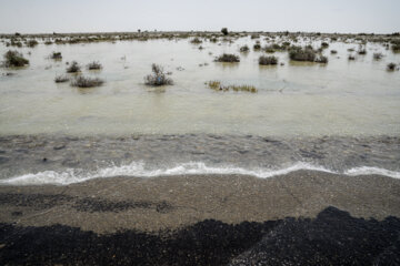 سیل دشتیاری در حال خروج از منطقه به سمت دریای عمان