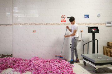 Meymand’s flowers and rosewater 