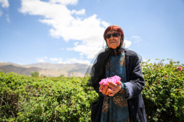 Meymand’s flowers and rosewater 