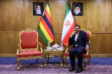 Iran's VP meets with African officials in Tehran