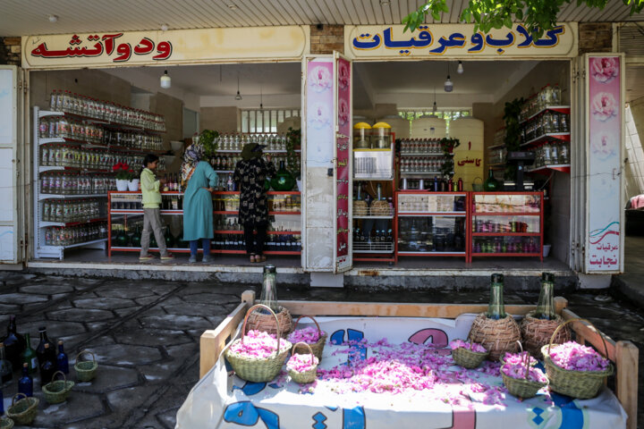 میمند فارس؛ عطر گلهای محمدی، بوی دغدغههای بیپایان