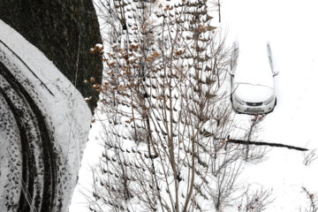 Chutes de neige à Téhéran