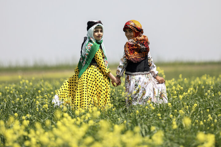 جشنواره کوچ عشایر مغان