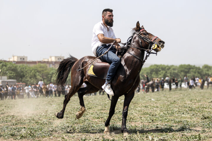 جشنواره کوچ عشایر مغان