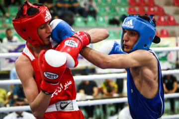 Les Championnats d'Iran de boxe cadets
