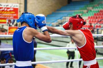 Les Championnats d'Iran de boxe cadets