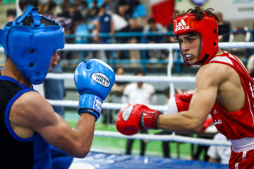 Les Championnats d'Iran de boxe cadets