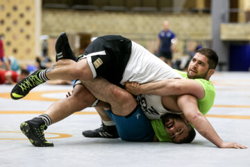 تمرین تیم ملی کشتی آزاد