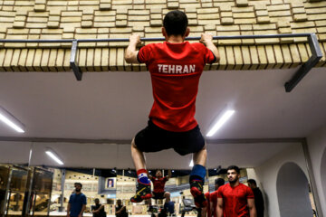 Concentración para la preparación de la selección iraní de lucha libre