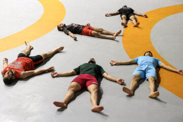 تمرین تیم ملی کشتی آزاد