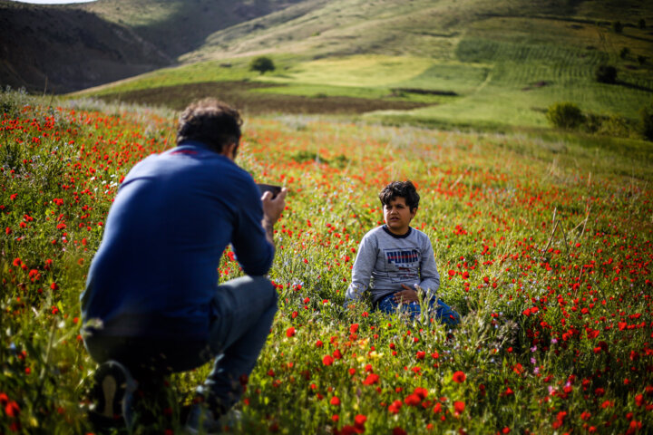 سفر یکروزه؛ نسخهای سریع برای آرامش در زندگی شهری