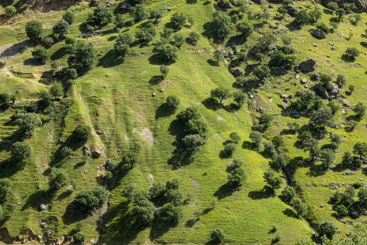 طبیعت بهاری کردستان