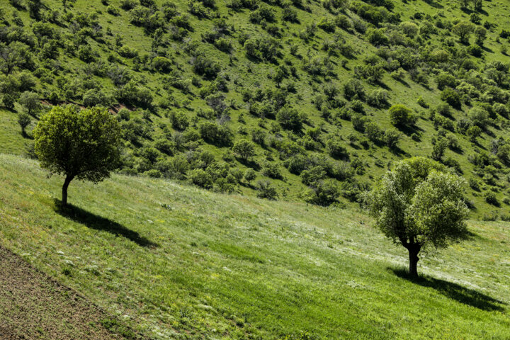 طبیعت بهاری کردستان