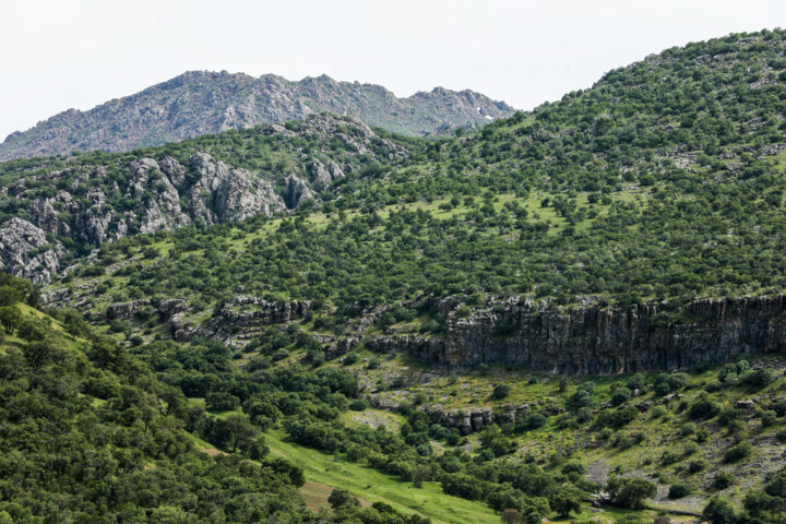 طبیعت بهاری کردستان