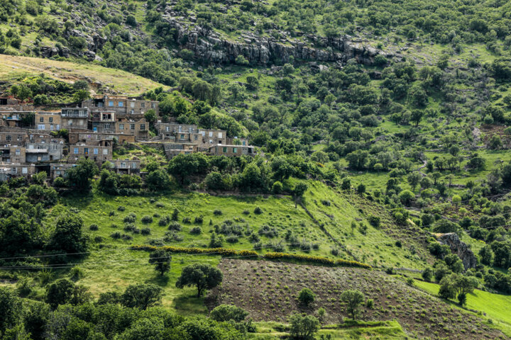 طبیعت بهاری کردستان