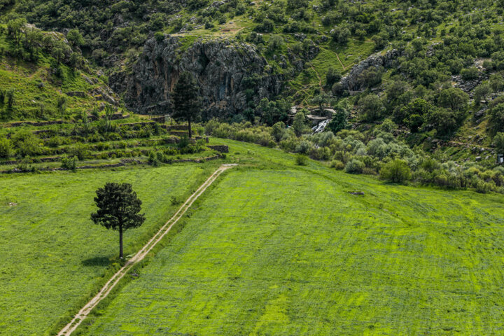 طبیعت بهاری کردستان