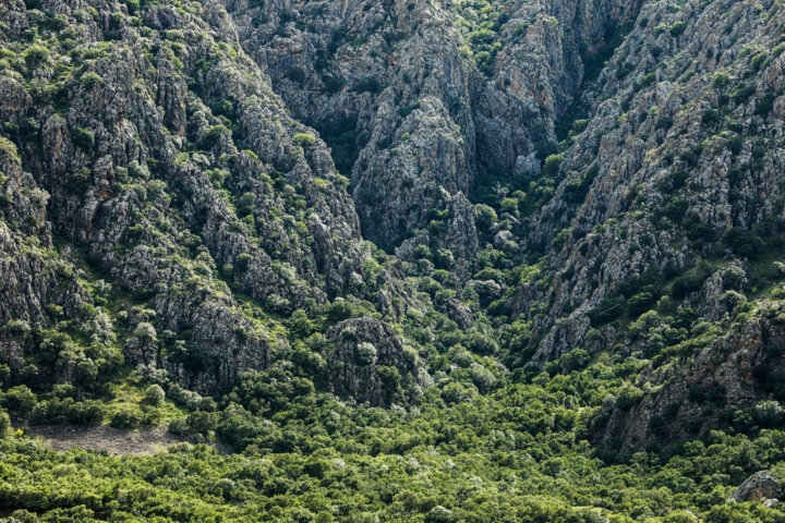 طبیعت بهاری کردستان