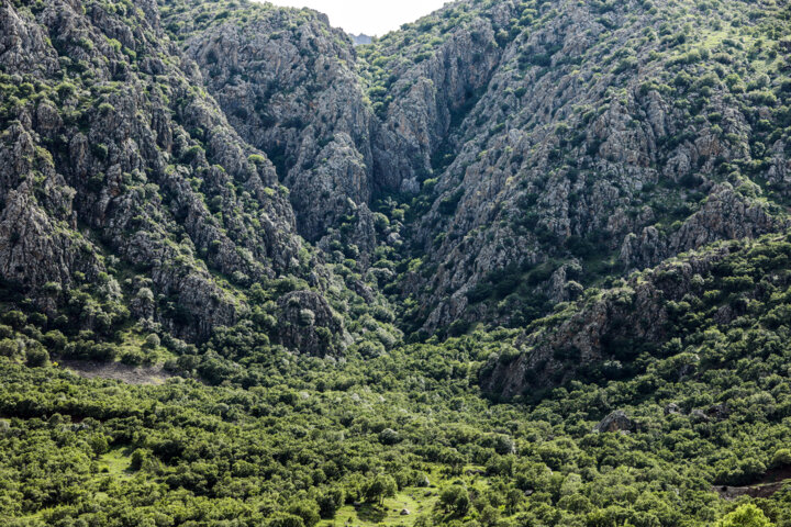 طبیعت بهاری کردستان