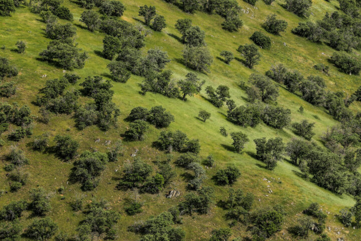 طبیعت بهاری کردستان