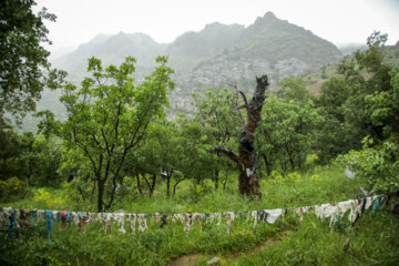 Naturaleza primaveral en Uraman Tajt