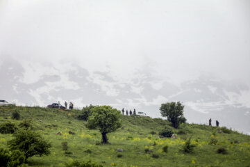 La beauté du printemps dans la région d’Huraman 