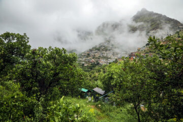 Naturaleza primaveral en Uraman Tajt