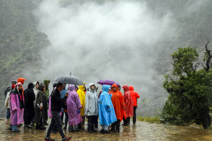 سفرهای انفرادی یا گروهی؟ چگونه انتخاب کنیم؟