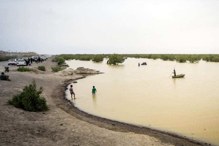 نقش تسهیلگری برنامه توسعه ملل متحد در تحقق حقابه تالابهای مرزی