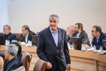 «محمد اسلامی» رئیس سازمان انرژی اتمی در نشست مشترک هیئت دولت با استانداران