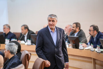 نشست مشترک هیئت دولت با استانداران