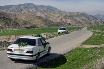 نذر گل نرگس