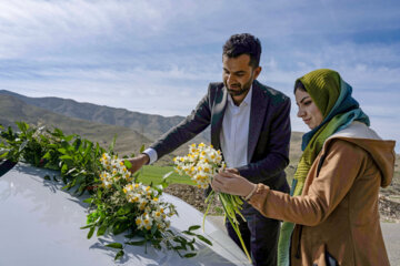 نذر گل نرگس