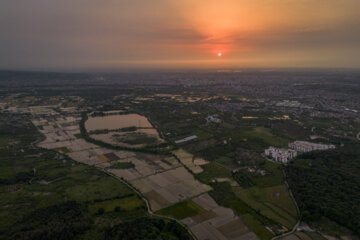 Rice planting season