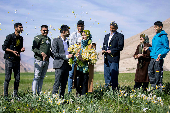 جای خالی صنایع تبدیلی در قطب تولید گل نرگس کشور