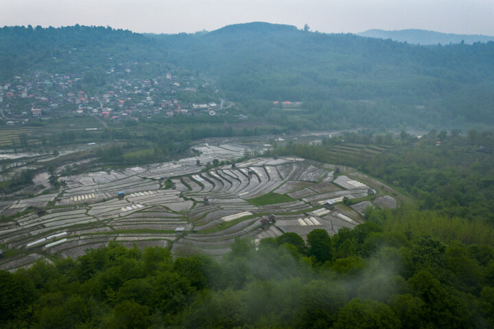 ثبت اطلاعات ۱۳۰ هزار کشاورز در مازندران/ روند سرشماری کُند است