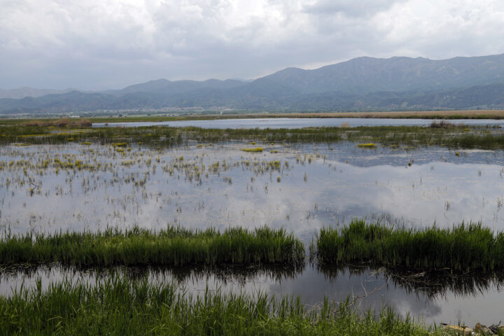 سند تمام تالابها به نام سازمان حفاظت محیطزیست زده میشود