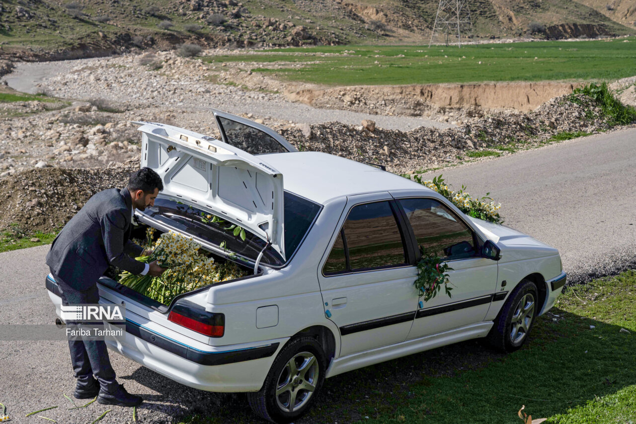 نذر گل نرگس