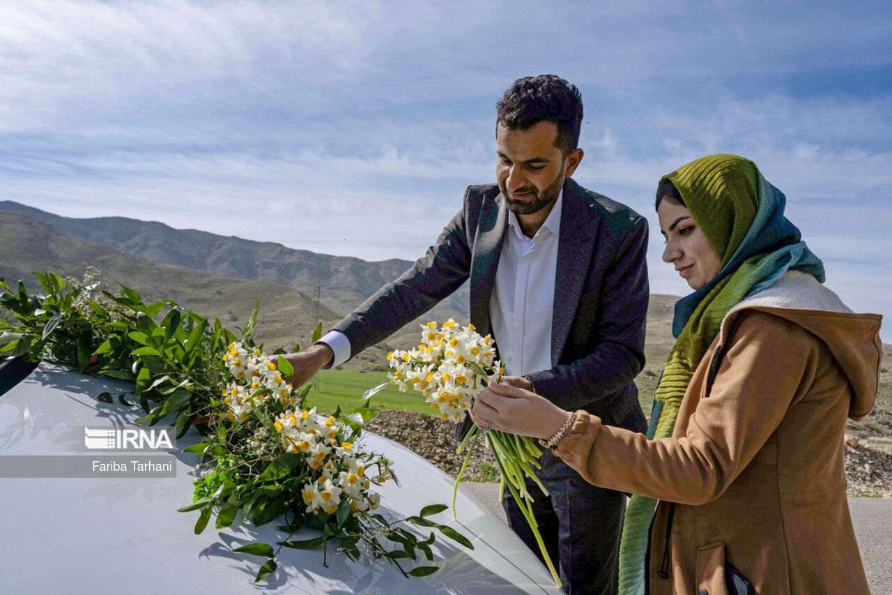 نذر گل نرگس