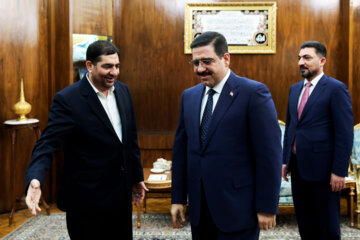 دیدار «اثیر داود سلمان» وزیر تجارت عراق(وسط) با محمد مخبر معاون اول رئیس جمهور