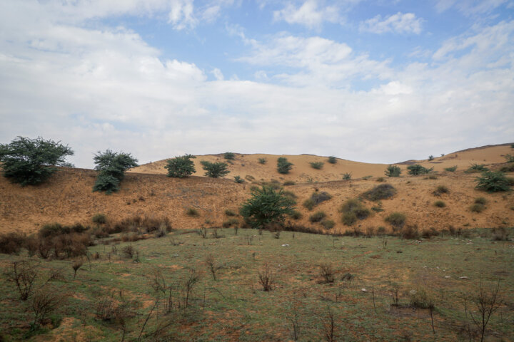 انتخاب اصلح در انتخابات ریاست جمهوری منجر به حفاظت بهتر از محیطزیست خواهد شد