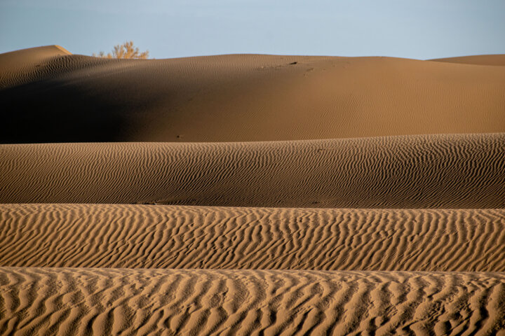 کویر مصر