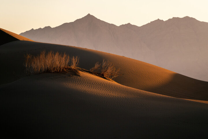 کویر مصر