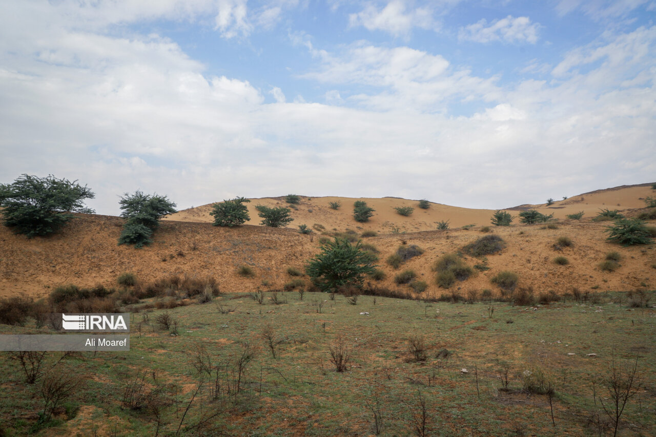 آزادسازی ۴۴۰ هزار هکتار از مراتع خراسان جنوبی آزادسازی ۴۴۰ هزار هکتار از مراتع خراسان جنوبی