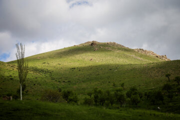 کوه یومری